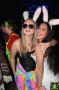 Thumbs/tn_Steegfeest XL 215.jpg